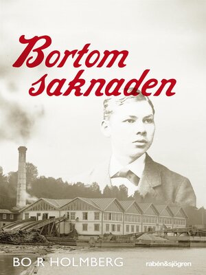 cover image of Bortom saknaden